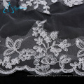 Acessórios nupciais da catedral Tulle Long Lace Wedding Veil